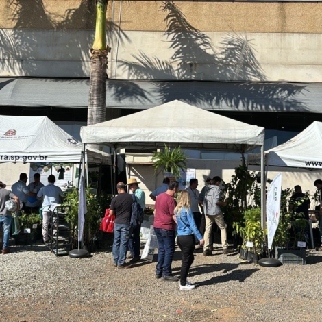 Representantes da CATI recebem produtores rurais durante a 31ª Hortitec, em Holambra, apresentando projetos, tecnologias, cultivares e orientações gratuitas voltadas ao fortalecimento da horticultura paulista.

Crédito: Divulgação