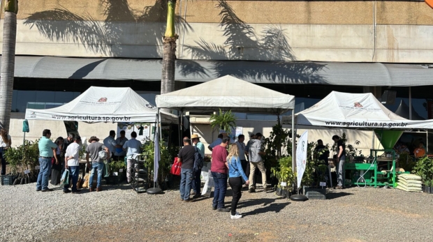 Representantes da CATI recebem produtores rurais durante a 31ª Hortitec, em Holambra, apresentando projetos, tecnologias, cultivares e orientações gratuitas voltadas ao fortalecimento da horticultura paulista.
Crédito: Divulgação