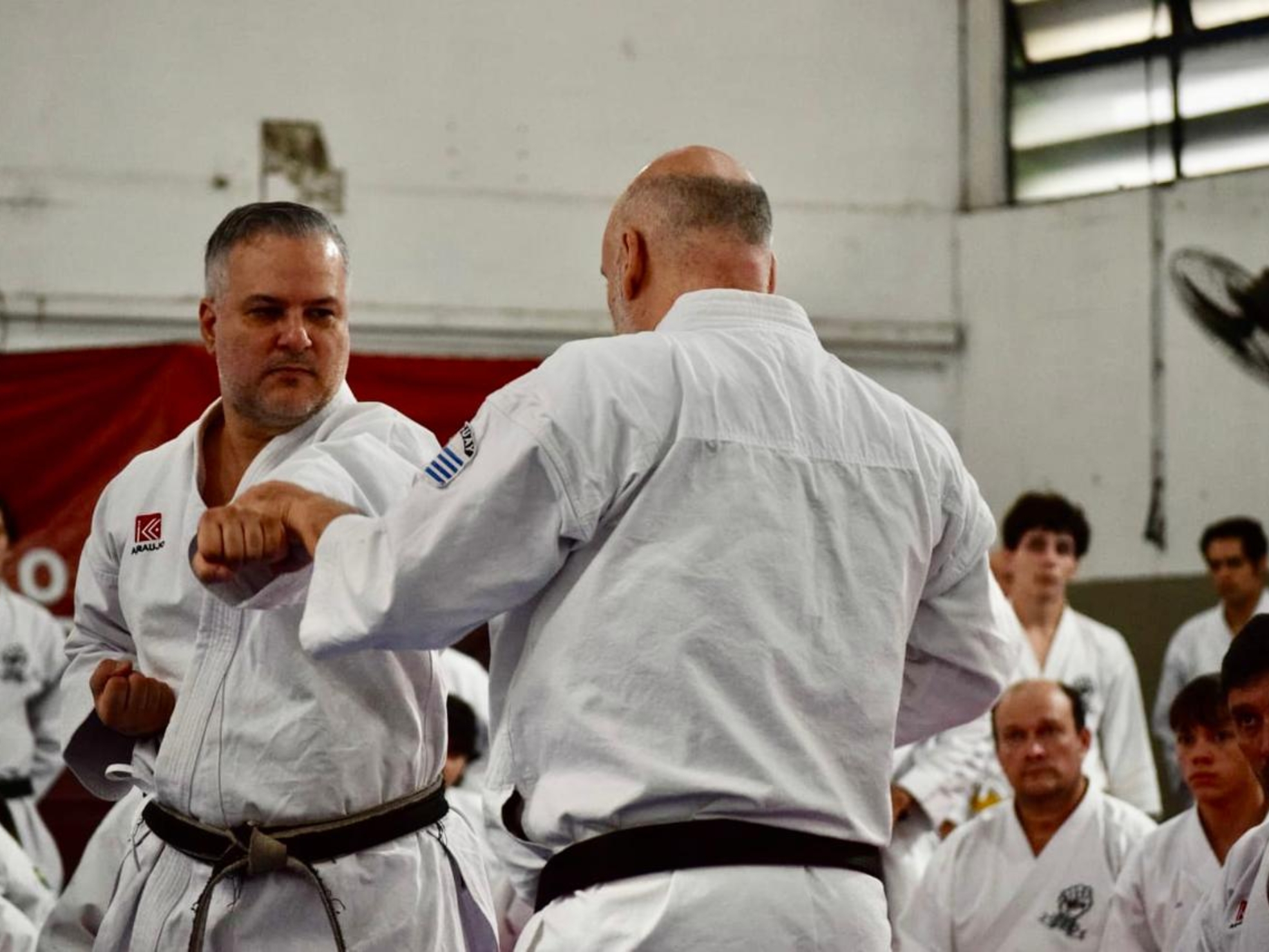 Osasco recebeu grandes nomes do karatê mundial em um encontro que reuniu tradição, técnica e atletas de vários estados brasileiros

Crédito: Divulgação.