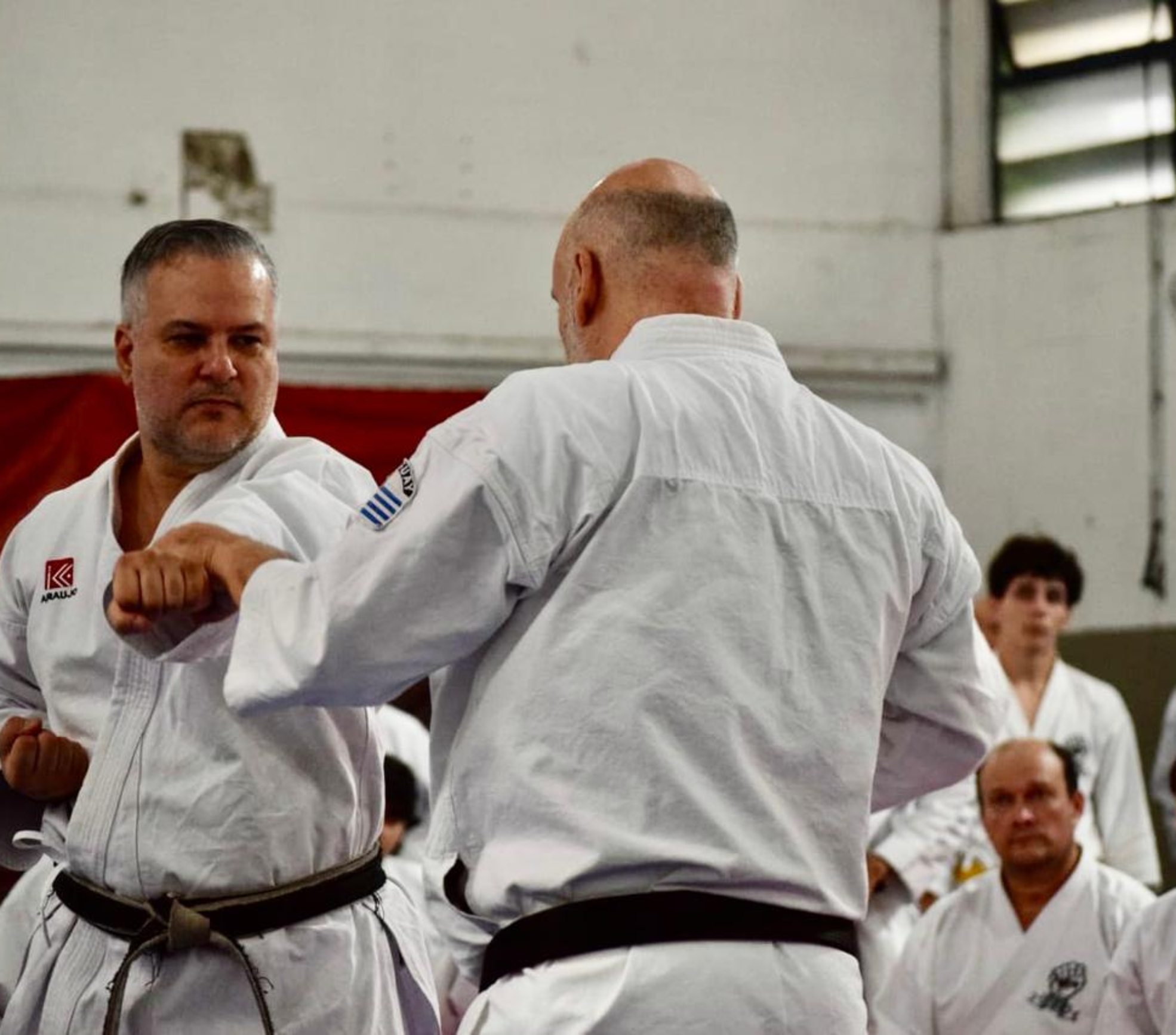 Osasco recebeu grandes nomes do karatê mundial em um encontro que reuniu tradição, técnica e atletas de vários estados brasileiros

Crédito: Divulgação.