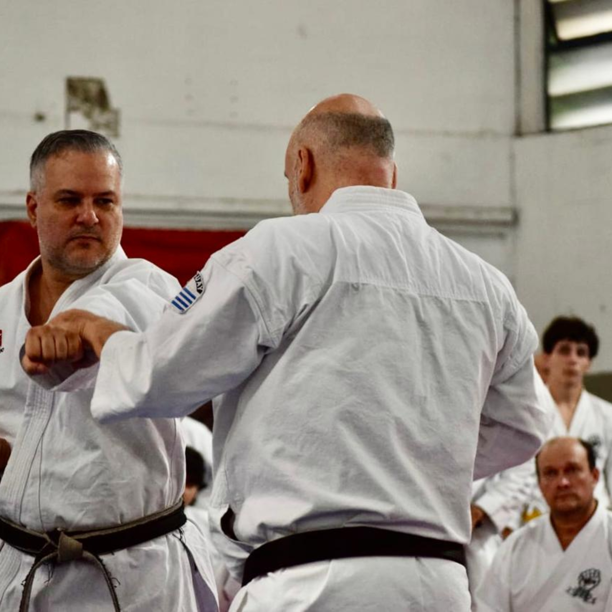 Osasco recebeu grandes nomes do karatê mundial em um encontro que reuniu tradição, técnica e atletas de vários estados brasileiros

Crédito: Divulgação.
