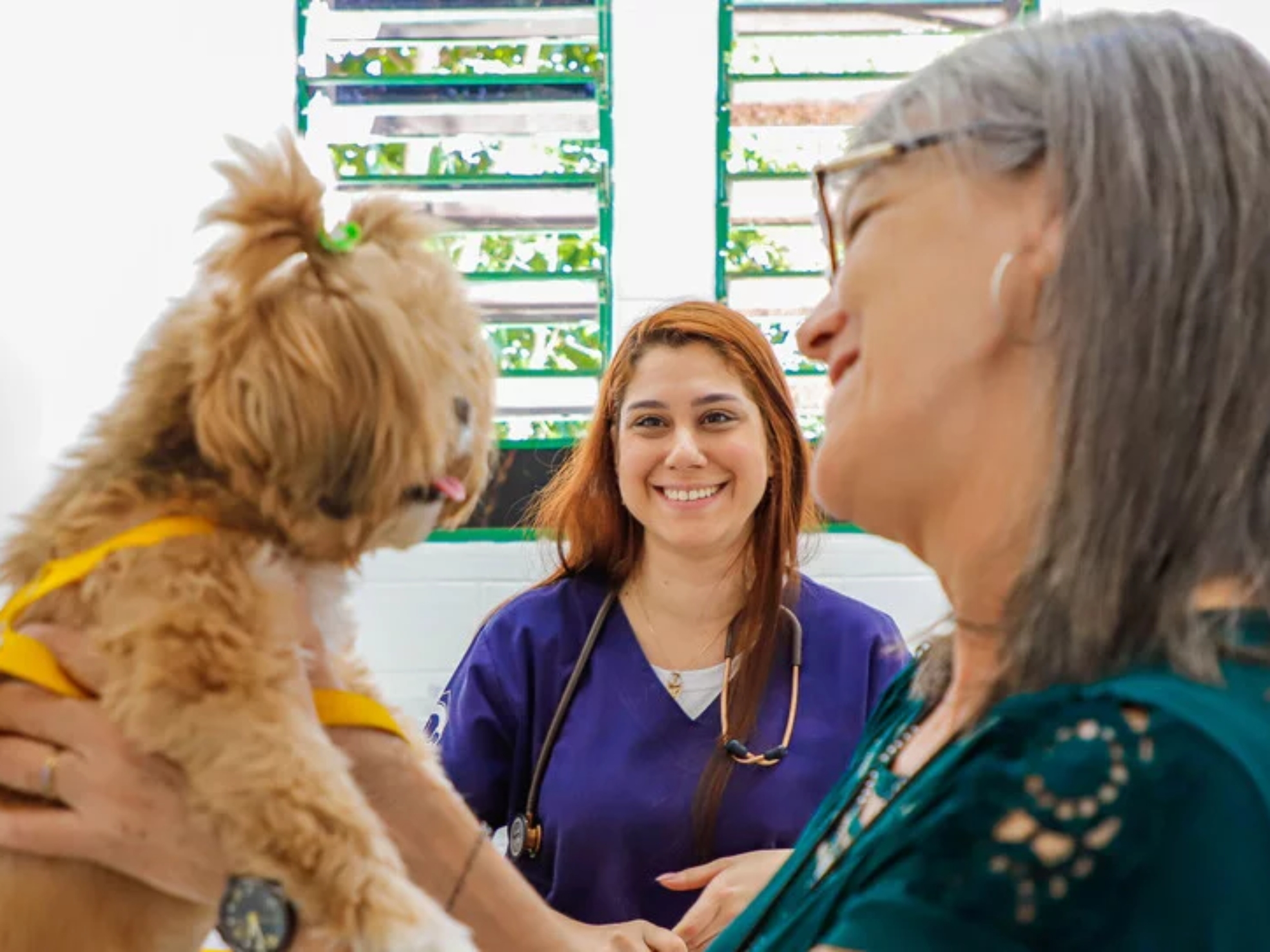 A Prefeitura de Osasco realiza neste sábado uma ação gratuita de vacinação antirrábica para cães e gatos, reforçando a prevenção da raiva e os cuidados com a saúde animal durante a campanha Julho Dourado.

Crédito: SECOM