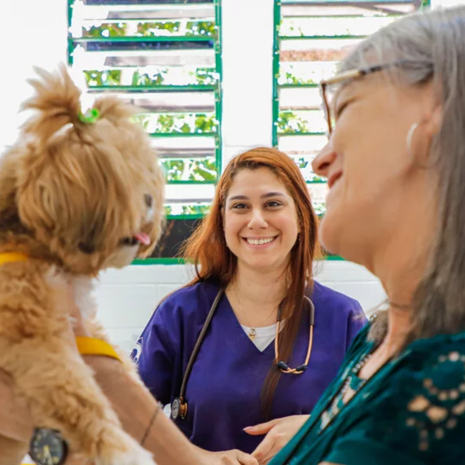 A Prefeitura de Osasco realiza neste sábado uma ação gratuita de vacinação antirrábica para cães e gatos, reforçando a prevenção da raiva e os cuidados com a saúde animal durante a campanha Julho Dourado.

Crédito: SECOM