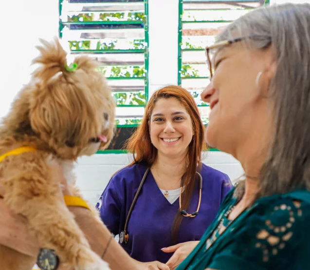 A Prefeitura de Osasco realiza neste sábado uma ação gratuita de vacinação antirrábica para cães e gatos, reforçando a prevenção da raiva e os cuidados com a saúde animal durante a campanha Julho Dourado.

Crédito: SECOM