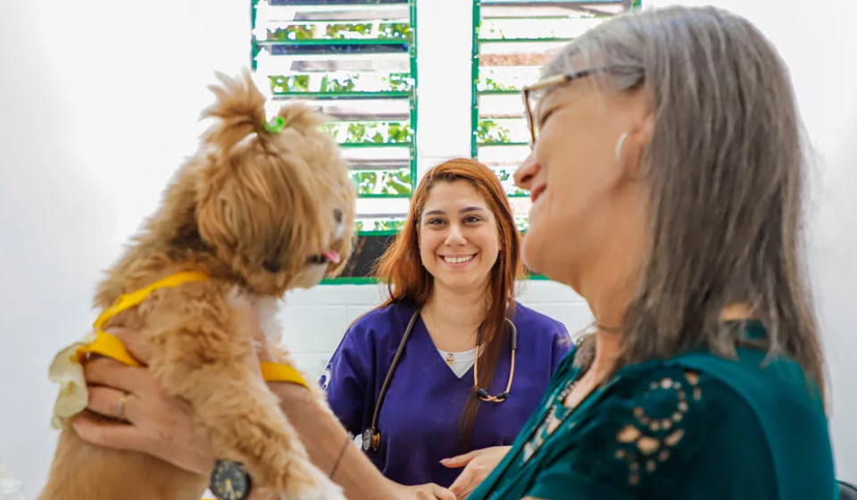A Prefeitura de Osasco realiza neste sábado uma ação gratuita de vacinação antirrábica para cães e gatos, reforçando a prevenção da raiva e os cuidados com a saúde animal durante a campanha Julho Dourado.

Crédito: SECOM