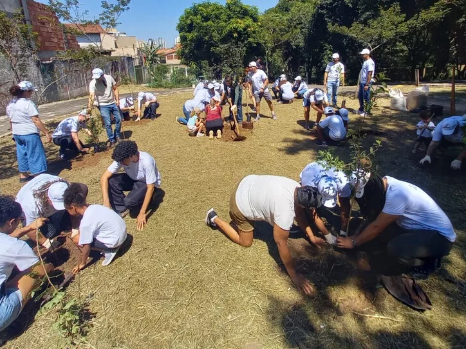 Um projeto inovador que une segurança alimentar, educação ambiental e arborização urbana agora ganha um manual para inspirar outras cidades brasileiras.

Crédito: Divulgação