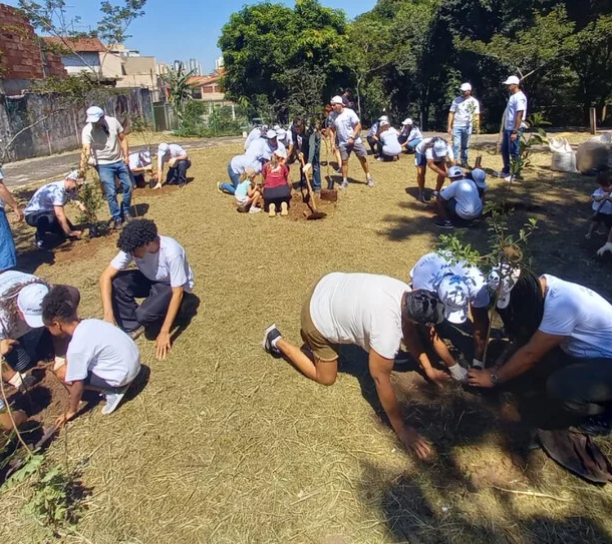 Um projeto inovador que une segurança alimentar, educação ambiental e arborização urbana agora ganha um manual para inspirar outras cidades brasileiras.

Crédito: Divulgação