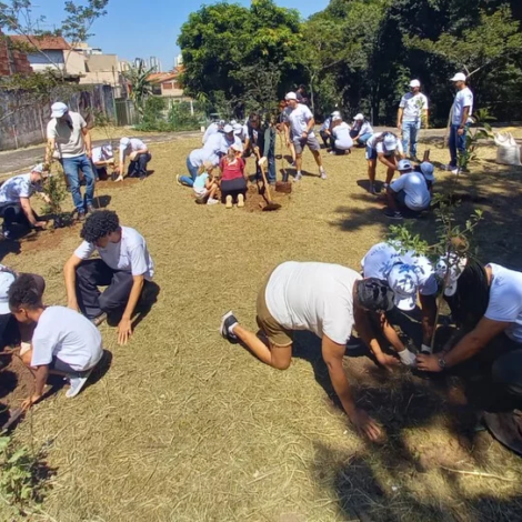 Um projeto inovador que une segurança alimentar, educação ambiental e arborização urbana agora ganha um manual para inspirar outras cidades brasileiras.

Crédito: Divulgação