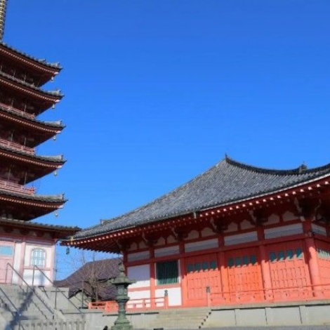Representantes da cidade japonesa de Tsu participam de agenda oficial em Osasco para comemorar os 50 anos da parceria entre cidades-irmãs, com cerimônias, encontros institucionais e atividades voltadas ao fortalecimento da cooperação internacional.

Crédito:  Divulgação CMO
