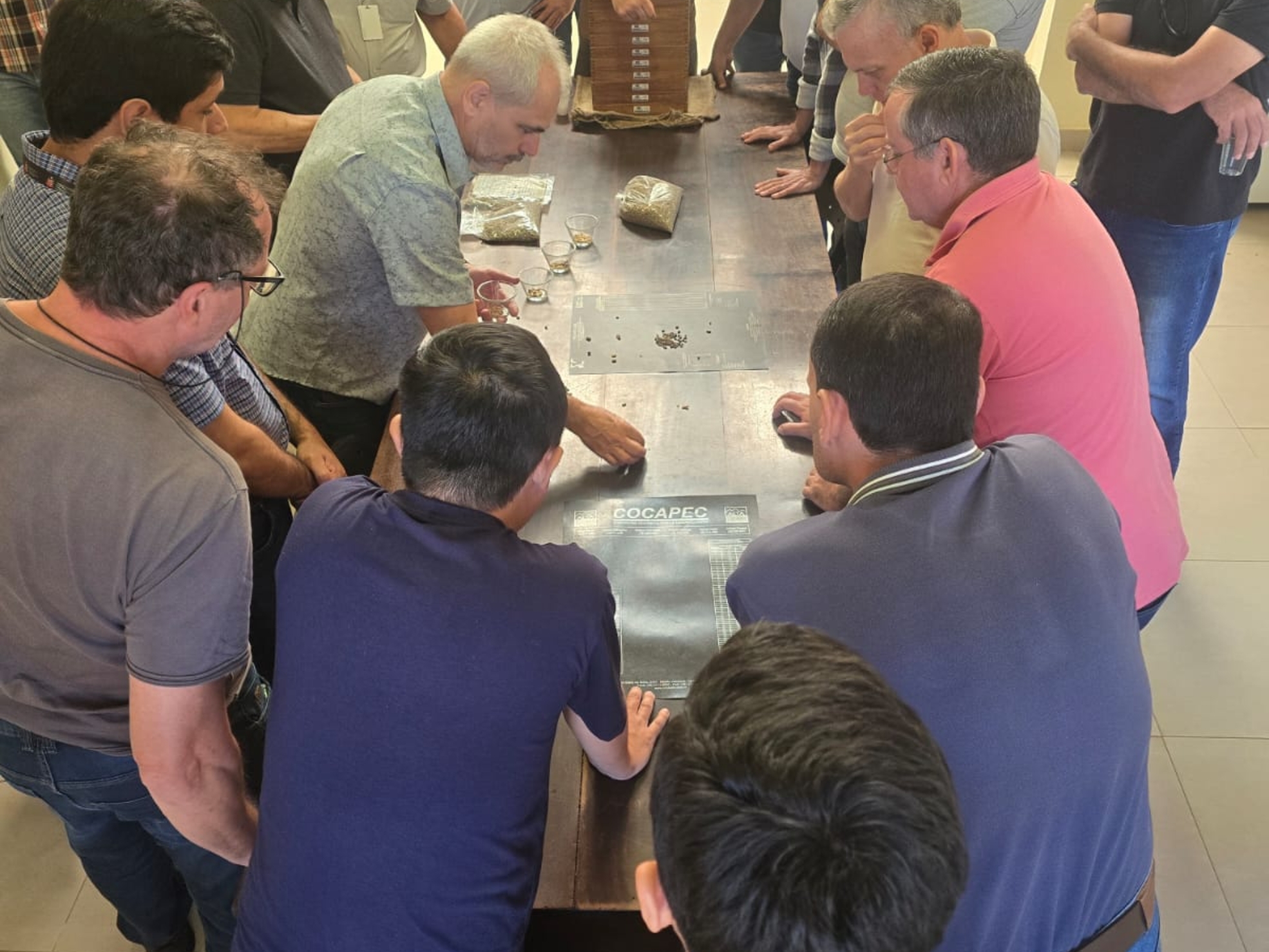 Técnicos da CATI participam de capacitação no Instituto Agronômico de Campinas (IAC) sobre classificação física e análise sensorial das amostras do 25º Concurso Estadual Qualidade do Café de São Paulo.

Crédito: Divulgação - CATI