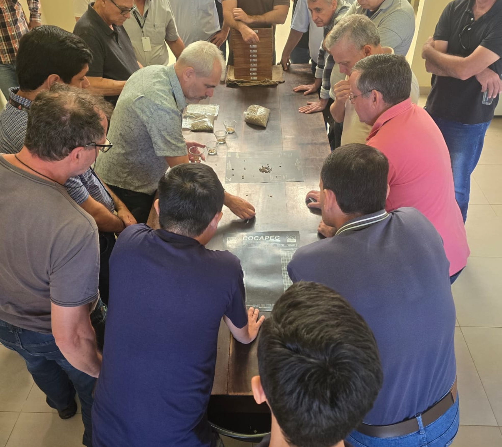 Técnicos da CATI participam de capacitação no Instituto Agronômico de Campinas (IAC) sobre classificação física e análise sensorial das amostras do 25º Concurso Estadual Qualidade do Café de São Paulo.

Crédito: Divulgação - CATI