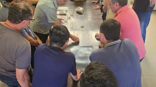 Técnicos da CATI participam de capacitação no Instituto Agronômico de Campinas (IAC) sobre classificação física e análise sensorial das amostras do 25º Concurso Estadual Qualidade do Café de São Paulo.

Crédito: Divulgação - CATI