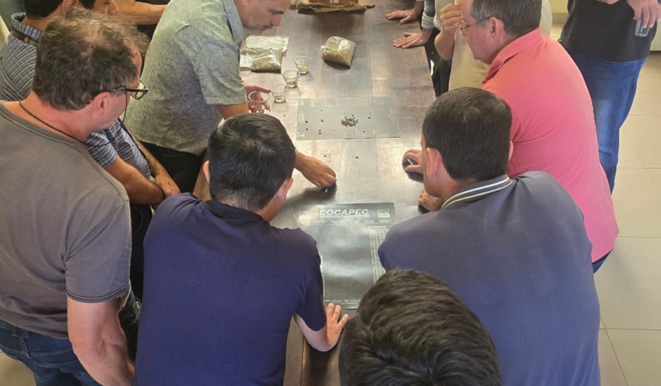 Técnicos da CATI participam de capacitação no Instituto Agronômico de Campinas (IAC) sobre classificação física e análise sensorial das amostras do 25º Concurso Estadual Qualidade do Café de São Paulo.

Crédito: Divulgação - CATI