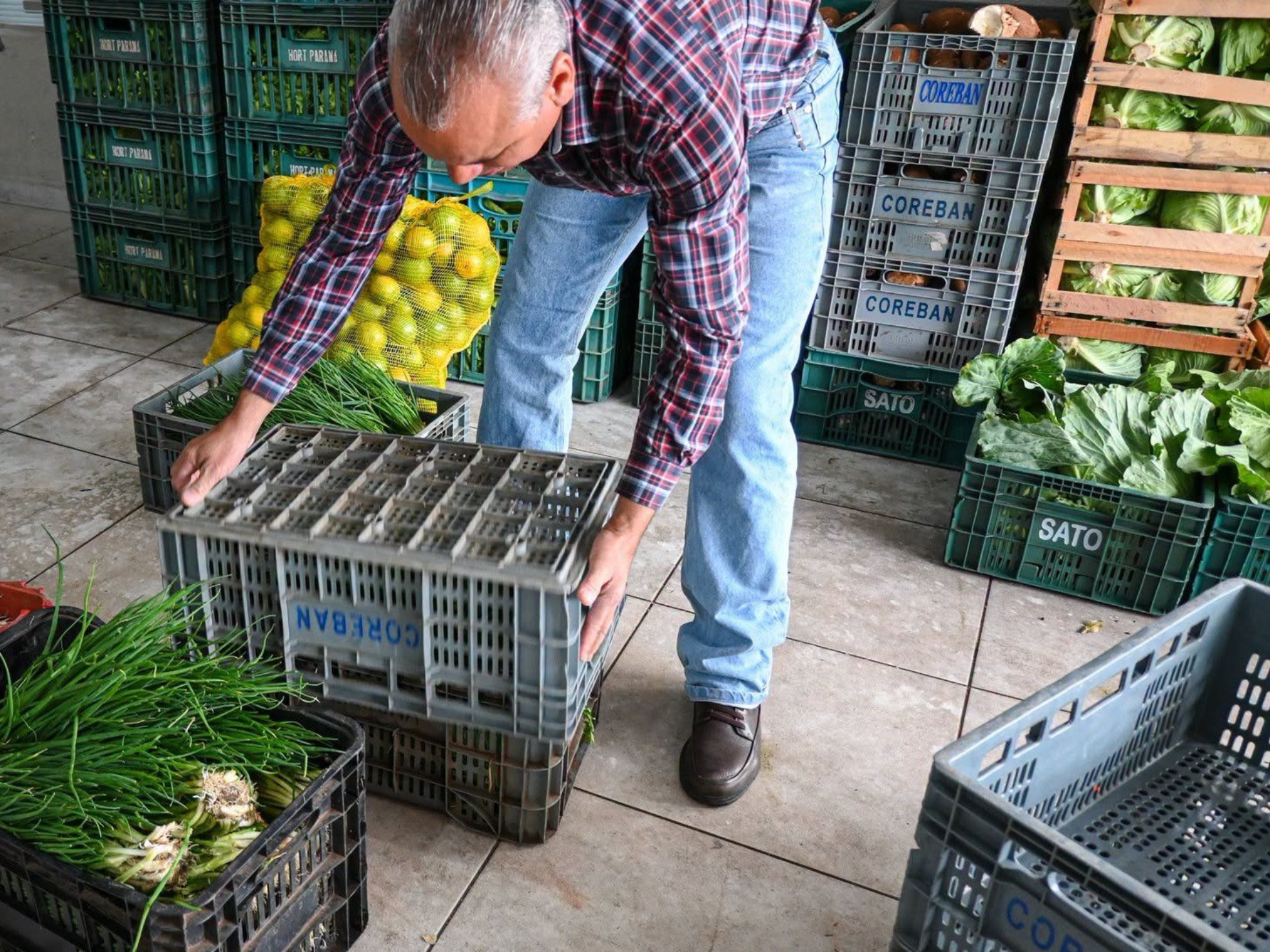 Programa de Aquisição de Alimentos (PAA) abre novo chamamento público em São Paulo para compra de gêneros alimentícios diretamente da agricultura familiar. Produtores interessados podem inserir seus dados até 15 de setembro de 2026 nas unidades da CATI.

Crédito: Divulgação - CATI