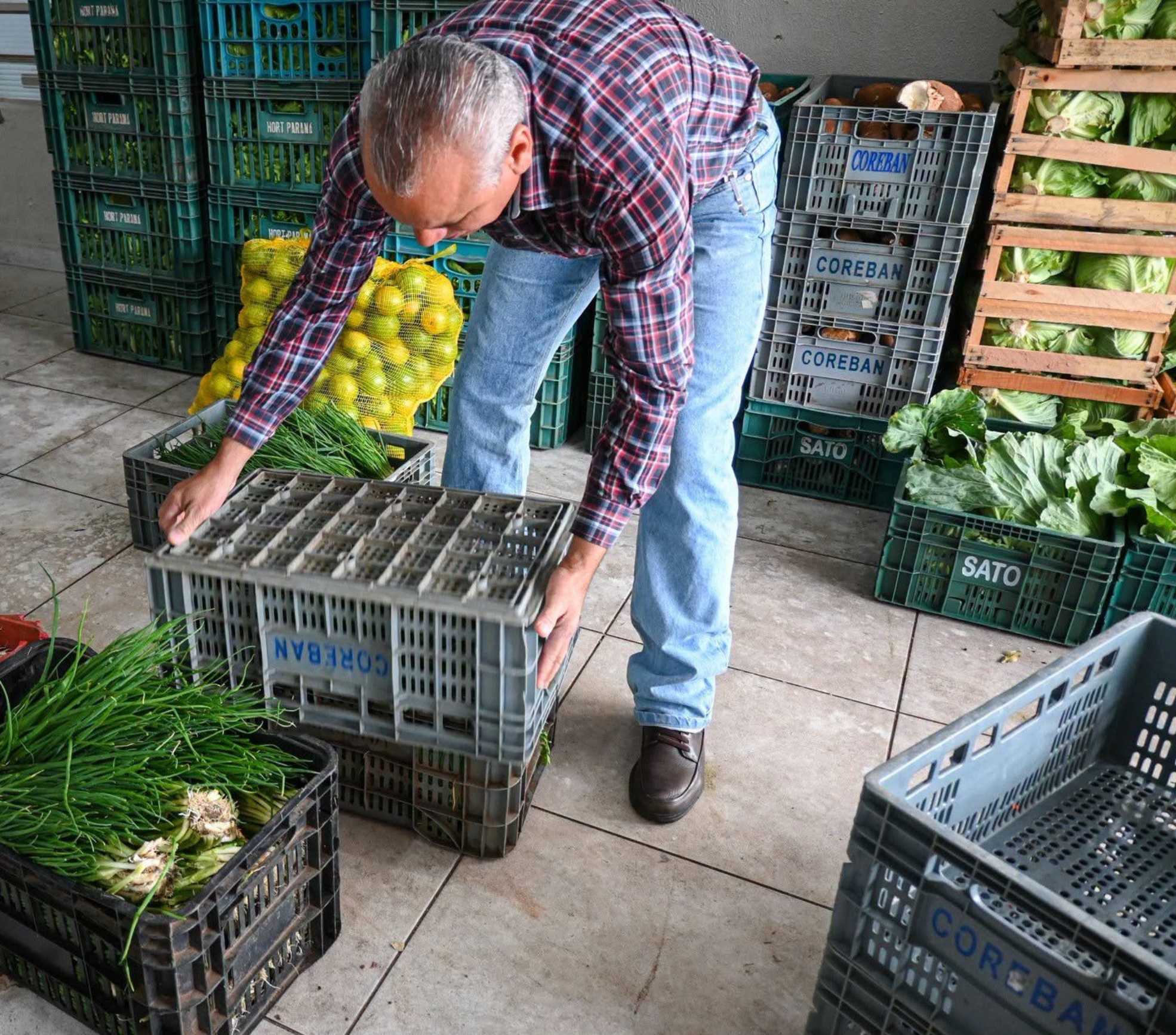 Programa de Aquisição de Alimentos (PAA) abre novo chamamento público em São Paulo para compra de gêneros alimentícios diretamente da agricultura familiar. Produtores interessados podem inserir seus dados até 15 de setembro de 2026 nas unidades da CATI.

Crédito: Divulgação - CATI