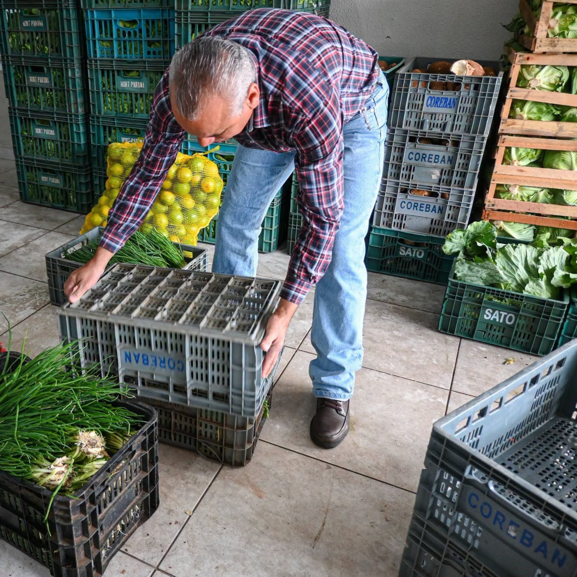 Programa de Aquisição de Alimentos (PAA) abre novo chamamento público em São Paulo para compra de gêneros alimentícios diretamente da agricultura familiar. Produtores interessados podem inserir seus dados até 15 de setembro de 2026 nas unidades da CATI.

Crédito: Divulgação - CATI