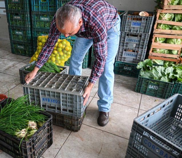 Programa de Aquisição de Alimentos (PAA) abre novo chamamento público em São Paulo para compra de gêneros alimentícios diretamente da agricultura familiar. Produtores interessados podem inserir seus dados até 15 de setembro de 2026 nas unidades da CATI.

Crédito: Divulgação - CATI