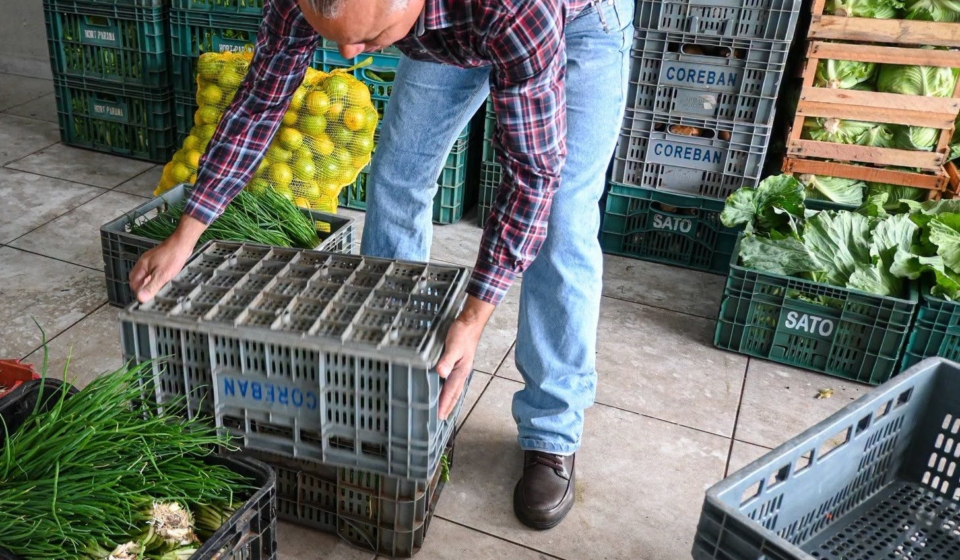 Programa de Aquisição de Alimentos (PAA) abre novo chamamento público em São Paulo para compra de gêneros alimentícios diretamente da agricultura familiar. Produtores interessados podem inserir seus dados até 15 de setembro de 2026 nas unidades da CATI.

Crédito: Divulgação - CATI