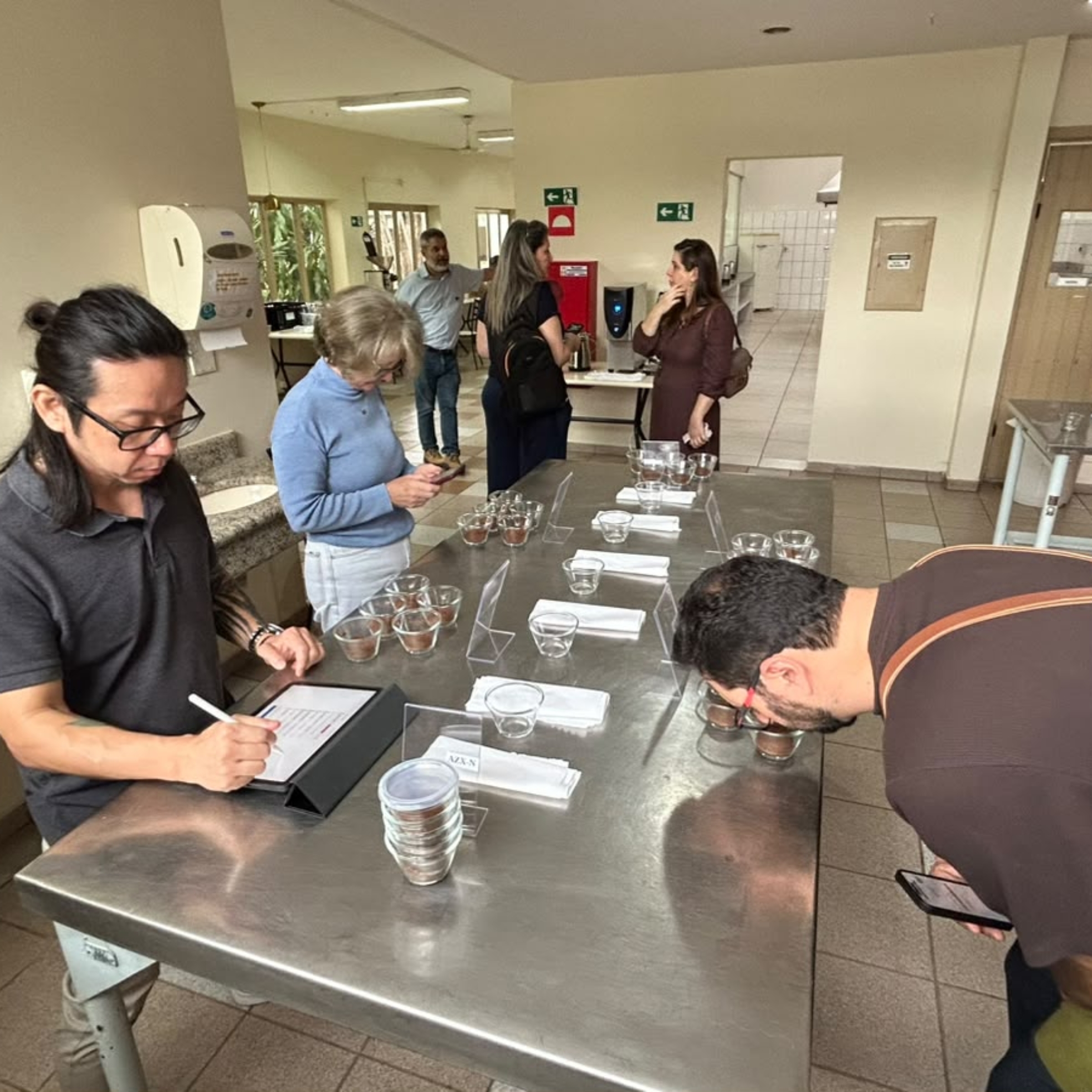 314 cafeicultores paulistas estão concorrendo na edição de 2026 | Foto: Rodrigo Di Carlo/CATI
