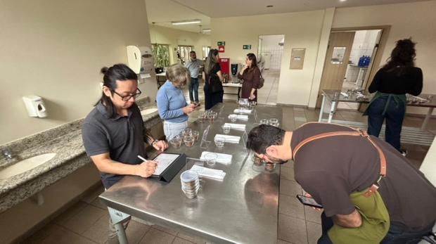 314 cafeicultores paulistas estão concorrendo na edição de 2026 | Foto: Rodrigo Di Carlo/CATI