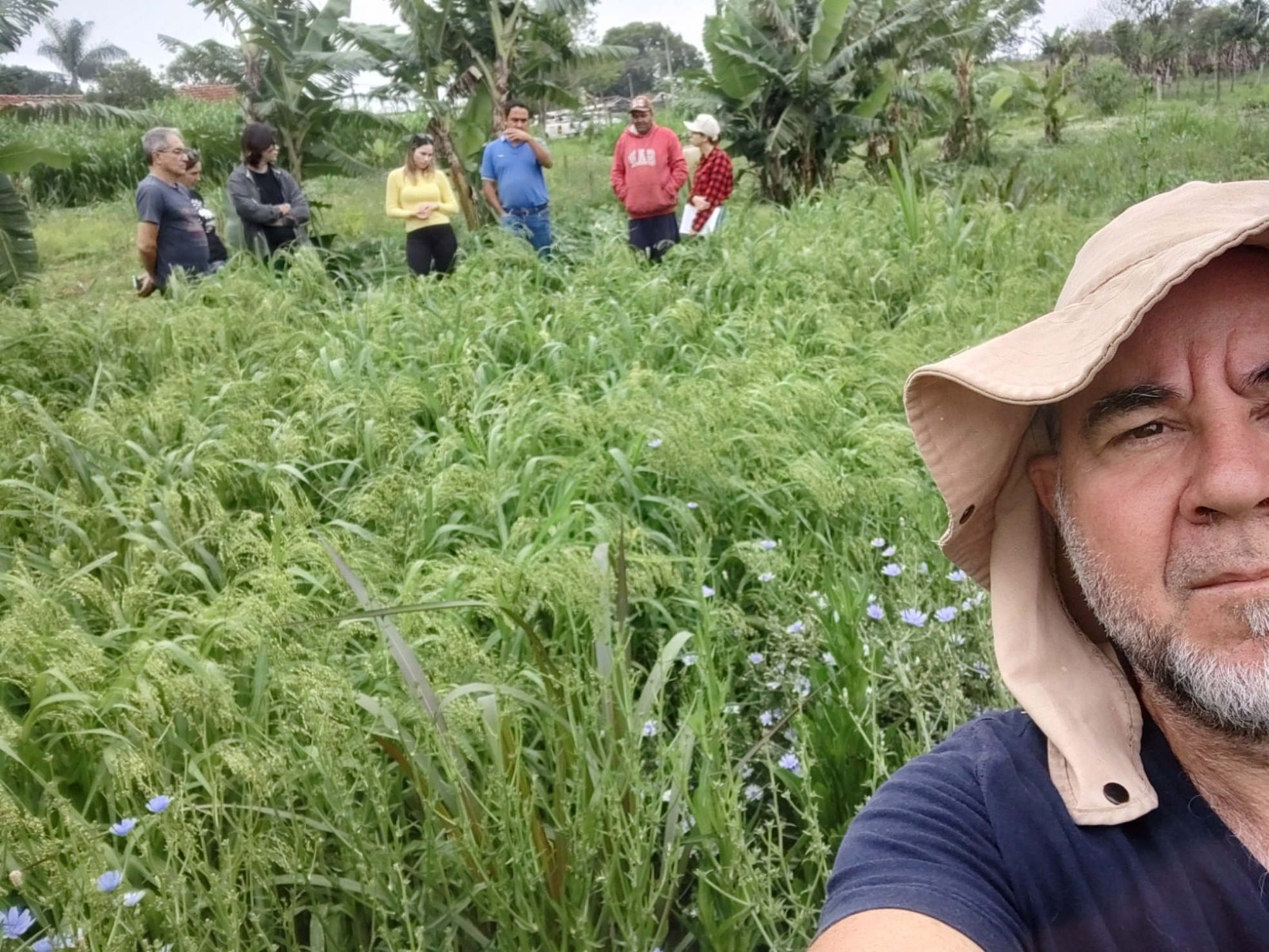 Faria em foto mostrando plantio de painço ao fundo
O engenheiro agrônomo Sérgio Augusto Martins Faria, da CATI Regional Avaré, apresenta o Sistema de Plantio Direto de Hortaliças, com plantio de painço ao fundo. Foto: Divulgação/CATI