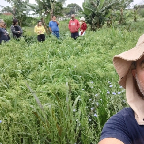 Faria em foto mostrando plantio de painço ao fundo
O engenheiro agrônomo Sérgio Augusto Martins Faria, da CATI Regional Avaré, apresenta o Sistema de Plantio Direto de Hortaliças, com plantio de painço ao fundo. Foto: Divulgação/CATI