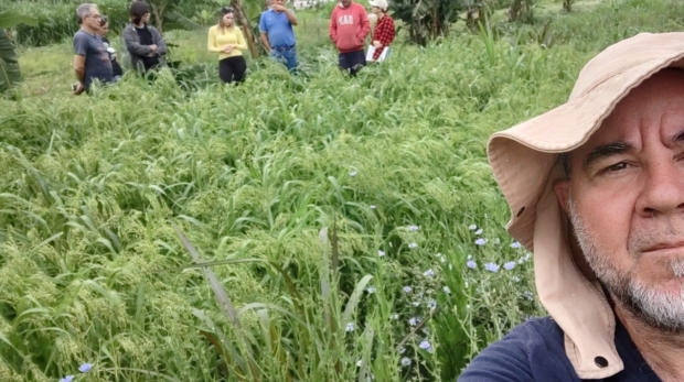 Faria em foto mostrando plantio de painço ao fundo
O engenheiro agrônomo Sérgio Augusto Martins Faria, da CATI Regional Avaré, apresenta o Sistema de Plantio Direto de Hortaliças, com plantio de painço ao fundo. Foto: Divulgação/CATI