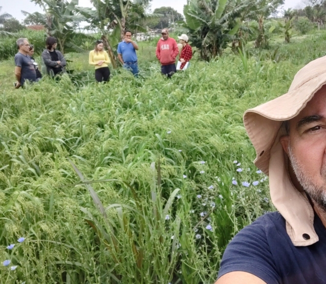 Faria em foto mostrando plantio de painço ao fundo
O engenheiro agrônomo Sérgio Augusto Martins Faria, da CATI Regional Avaré, apresenta o Sistema de Plantio Direto de Hortaliças, com plantio de painço ao fundo. Foto: Divulgação/CATI